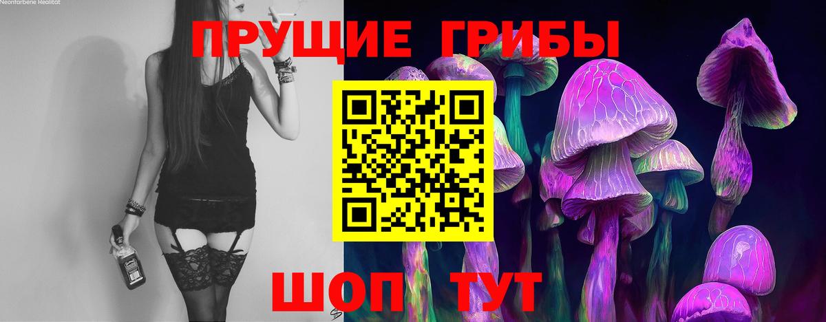 где купить наркоту  Вход с VPN  Заводоуковск  Псилоцибиновые грибы мицелий 